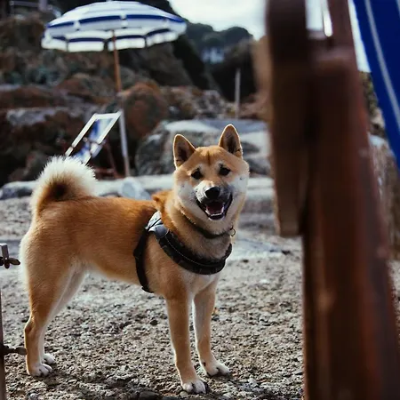 Lejlighedshotel Intur Marciana Marina (Isola d'Elba)