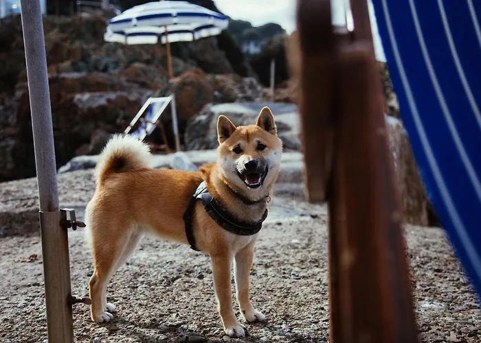 Aparthotel Intur Marciana Marina (Isola d'Elba)